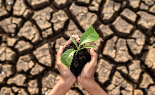 Nemci većinski podržavaju klimatsku tranziciju, ali manje ubedljivo nego pre