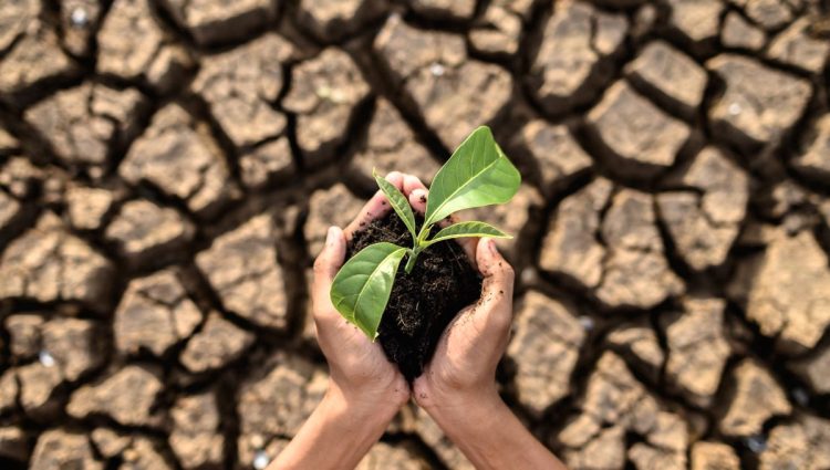 Zemlje Zapadnog Balkana treba da ulože 37 milijardi dolara za 10 godina zbog klimatskih promena