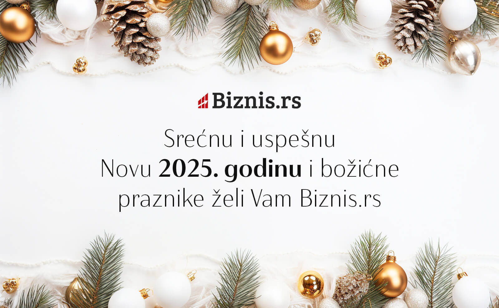 Srećna nova 2025. godina! Biznis.rs