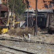 Obnova Sirije će koštati više od 216 milijardi dolara