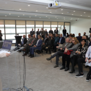 Prodaja novih vozila u Srbiji porasla deset odsto u 2024. godini, uvoz polovnjaka udvostručen