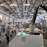 Pet novih malih i srednjih preduzeća deo SME HUB-a