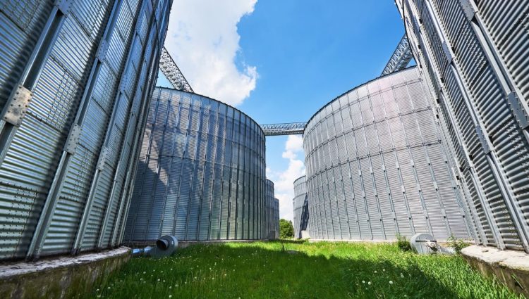 Energija iz biomase raste, ali i dalje nedovoljno