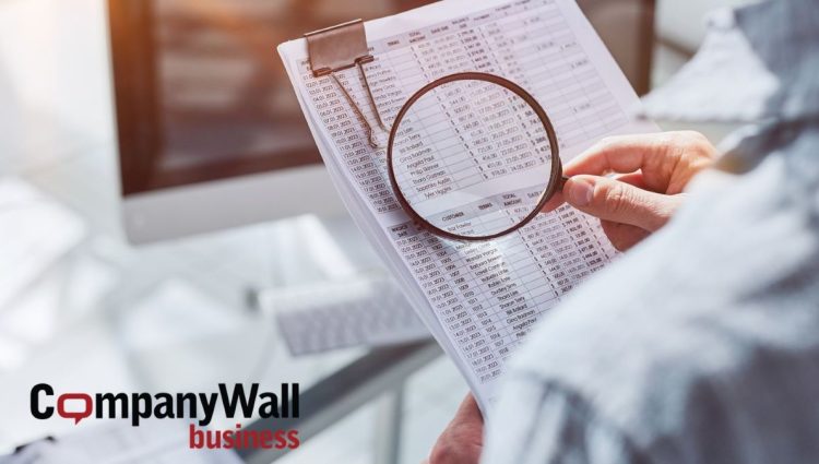 CompanyWall Business: Dubinska bonitetna ocena