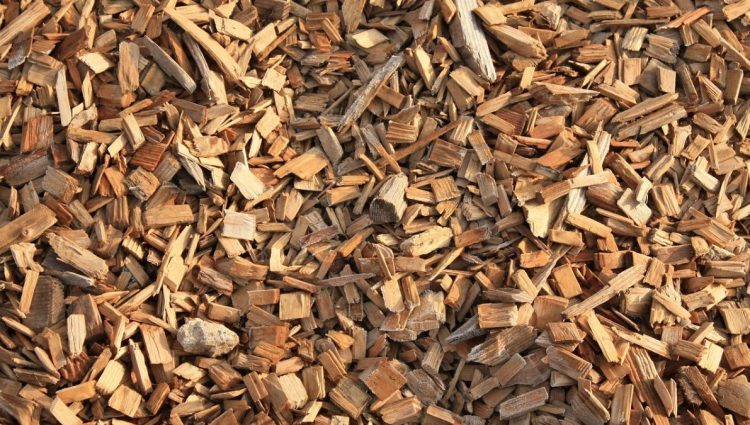 Počinje druga faza razvoja biomase u Srbiji – Projekat vredan 31,9 miliona evra
