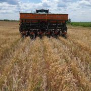 Regenerativna poljoprivreda efikasan način da se smanji emisija CO2