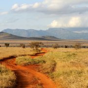 Kenija promoviše svoju ekonomsku klimu kako bi udvostručila strana ulaganja