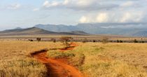 Kenija promoviše svoju ekonomsku klimu kako bi udvostručila strana ulaganja Kenija afrika savana Freepik