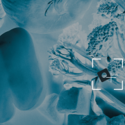 Diratech razvio sistem za kontrolu kvaliteta baziran na veštačkoj inteligenciji