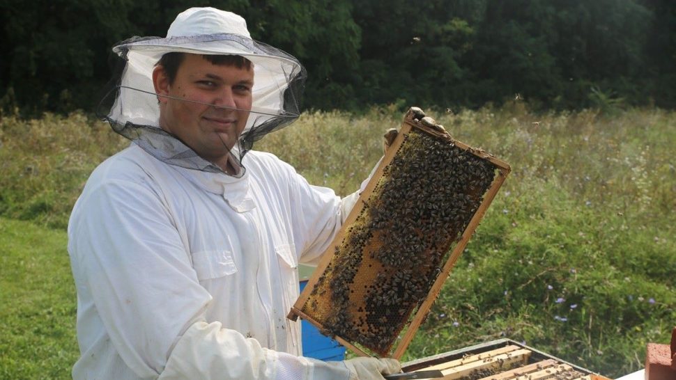 eco-hive
