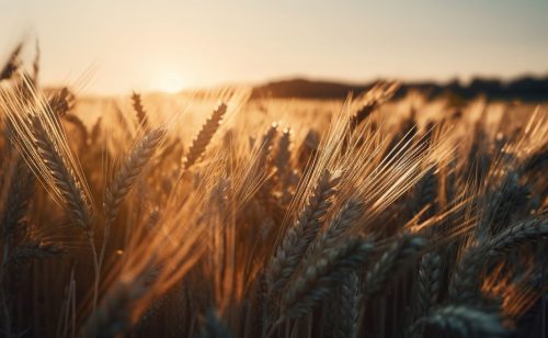 Smanjeno trgovanje na Produktnoj berzi