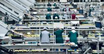 Prehrambena industrija beleži blagi pad: Kako do podsticaja za ulaganja? fabrika-prehrambena-industrija