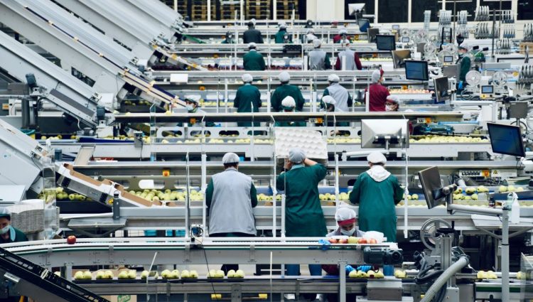 Prehrambena industrija beleži blagi pad: Kako do podsticaja za ulaganja?