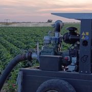 U saradnji sa institutom iz Koreje u Srbiji se razvija kvantna poljoprivreda