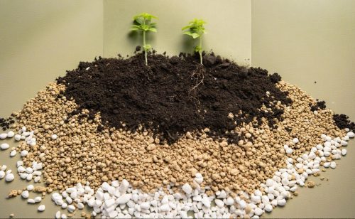 Iz Istočne Srbije ka vrhu fosforne industrije