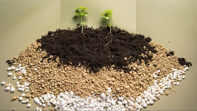 Iz Istočne Srbije ka vrhu fosforne industrije