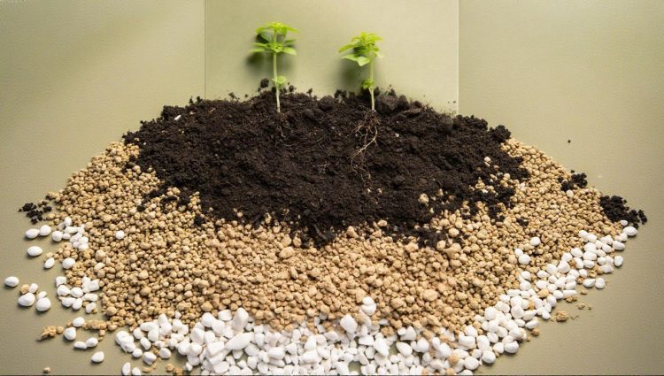 Iz Istočne Srbije ka vrhu fosforne industrije