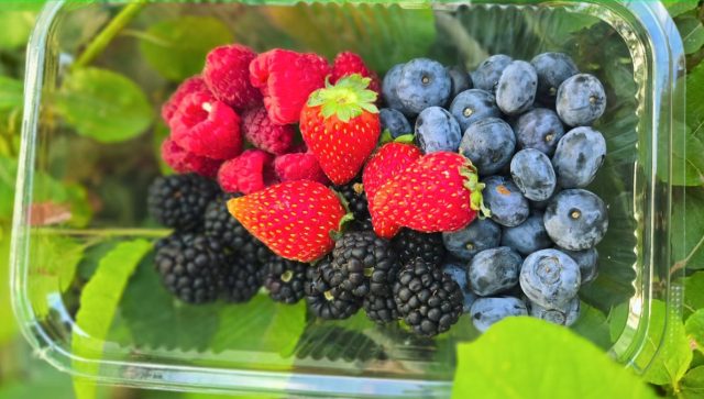 Kupci radije biraju domaće voće i povrće u odnosu na uvozno