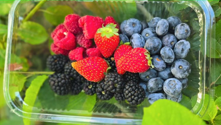 Kupci radije biraju domaće voće i povrće u odnosu na uvozno