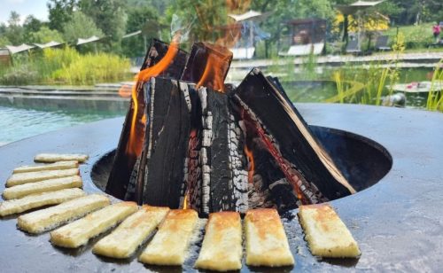 Uspeh iz podnožja Rtnja – priča o zadruzi koja raste