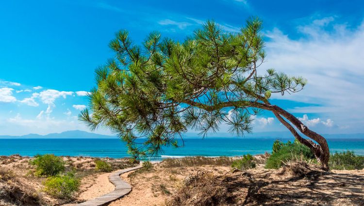 Seničić: Neće biti značajnijih poskupljenja u Grčkoj, Crnoj Gori i Hrvatskoj