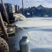 Uvoz jeftinog sira iz EU guši domaću proizvodnju – izlaz u uvođenju prelevmana i nacionalnom kačkavalju?