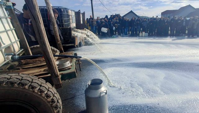 Uvoz jeftinog sira iz EU guši domaću proizvodnju – izlaz u uvođenju prelevmana i nacionalnom kačkavalju?