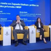 SEPA, karbonska taksa i male firme: Dokle je Srbija stigla na putu ka EU tržištu?