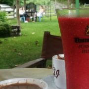 „Ako je malina naš strateški proizvod onda svaki restoran mora da ima sok od maline“