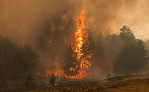 Pre početka obnove Deliblatske peščare potrebno proceniti štetu i sačekati stabilizaciju terena
