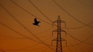 Štrajk zaposlenih u francuskom energetskom sektoru